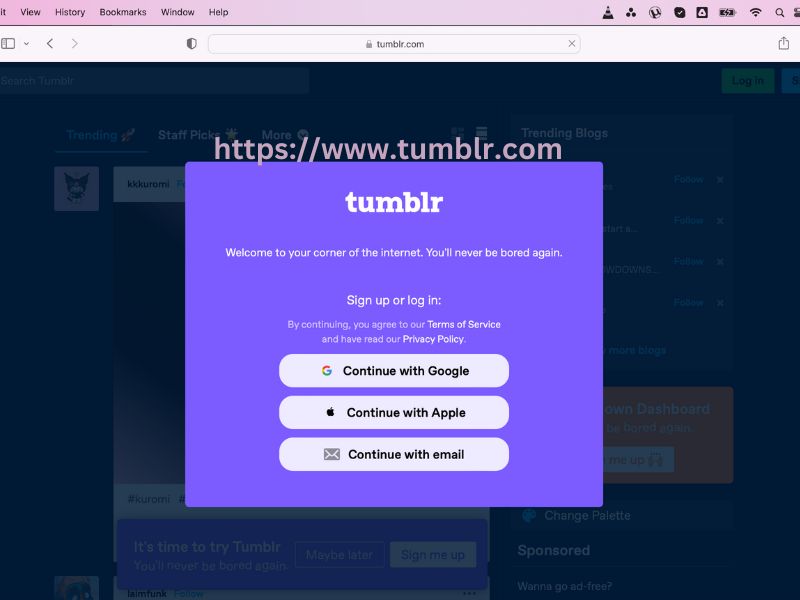 Unwrapping Tumblr — Tumblr Login Pages from 2007 to 2014.
